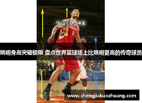 姚明身高突破极限 盘点世界篮球场上比姚明更高的传奇球员