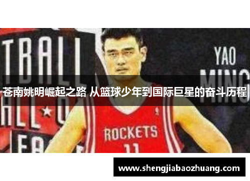 苍南姚明崛起之路 从篮球少年到国际巨星的奋斗历程